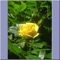 pfingsten2004 088.jpg